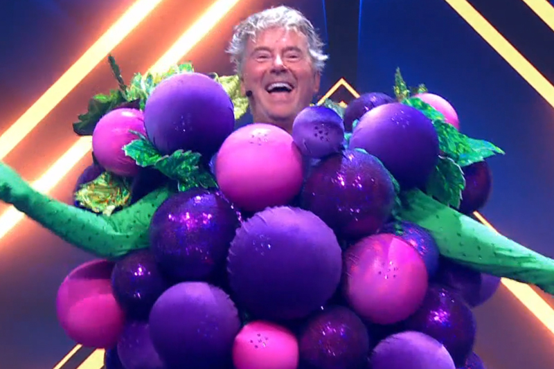 Bert van Leeuwen Druiventros Masked Singer