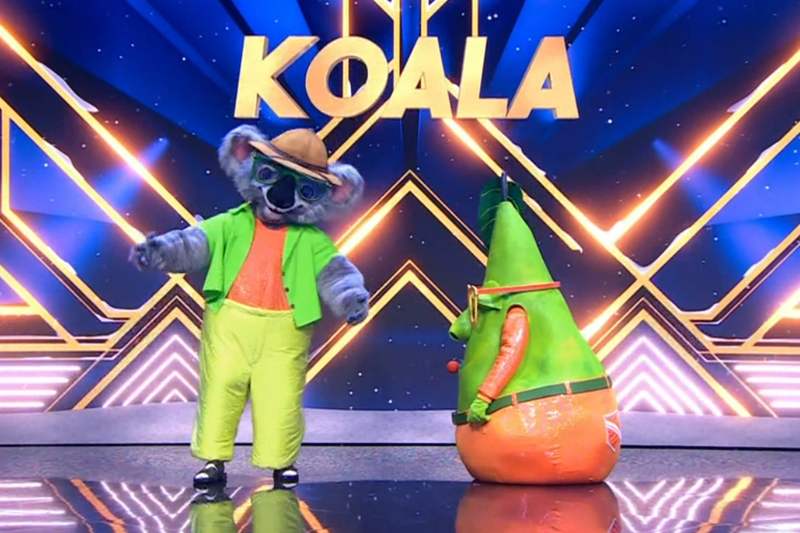 Koala The Masked Singer