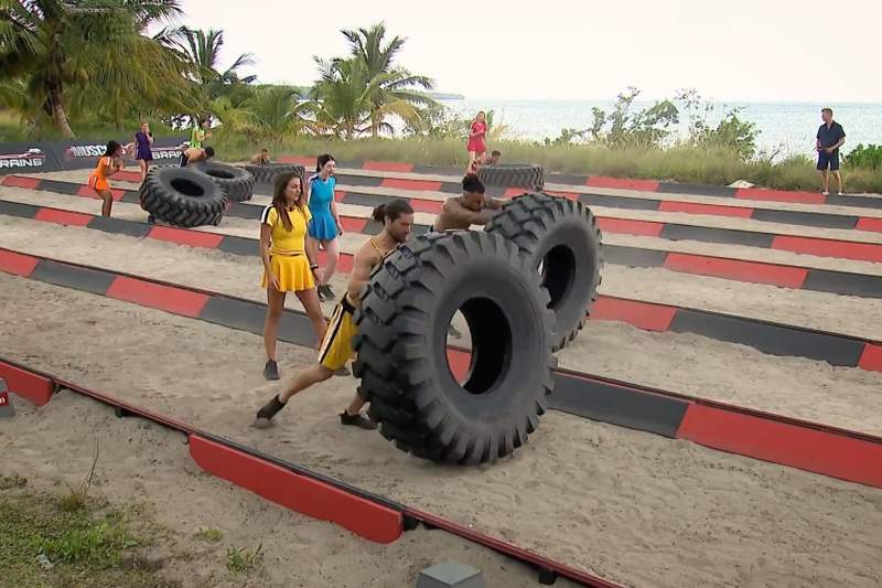 Banden flippen Muscles and Brains