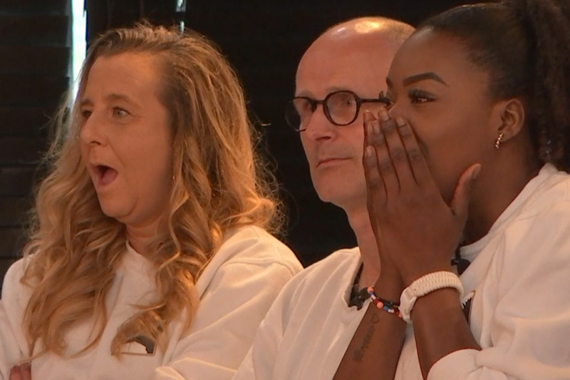 De Gieren De Bondgenoten