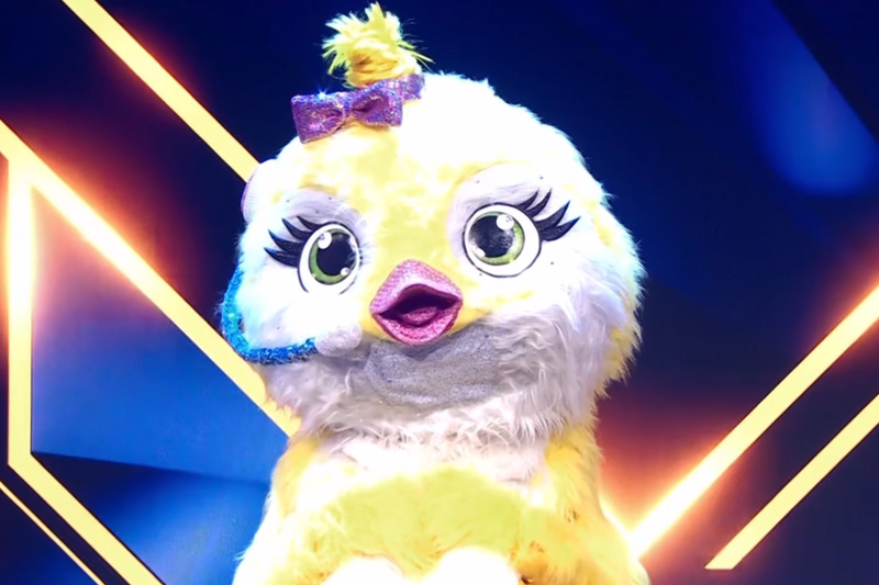 Het Kuiken The Masked Singer