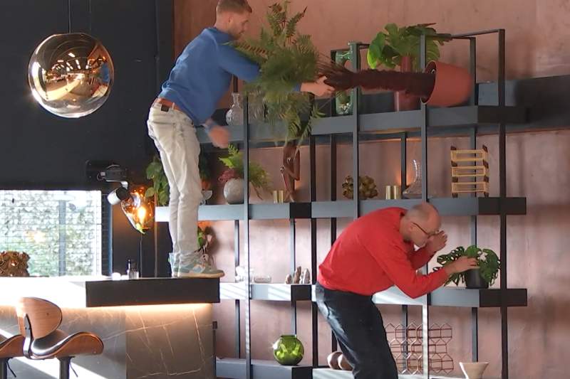 Rollen zijn omgekeerd: Bondjes gaan op rattenjacht