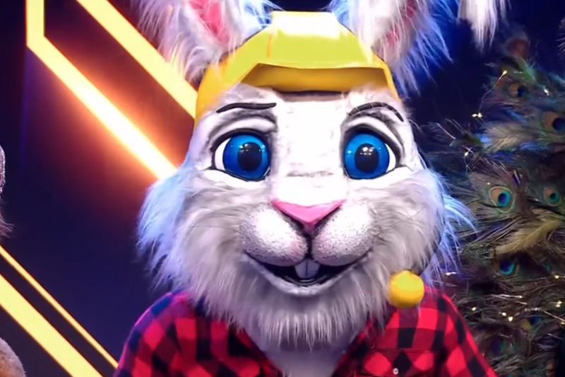 Beunhaas The Masked Singer