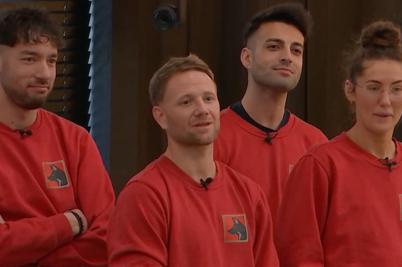 De Vossen De Bondgenoten