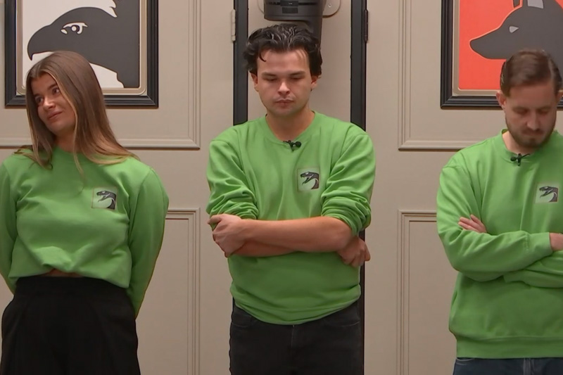 Slangen De Bondgenoten