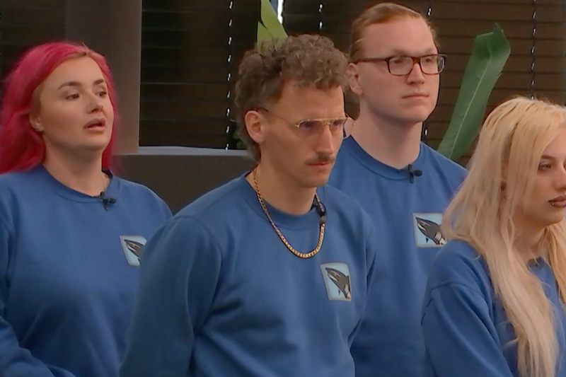 Haaien uit De Bondgenoten