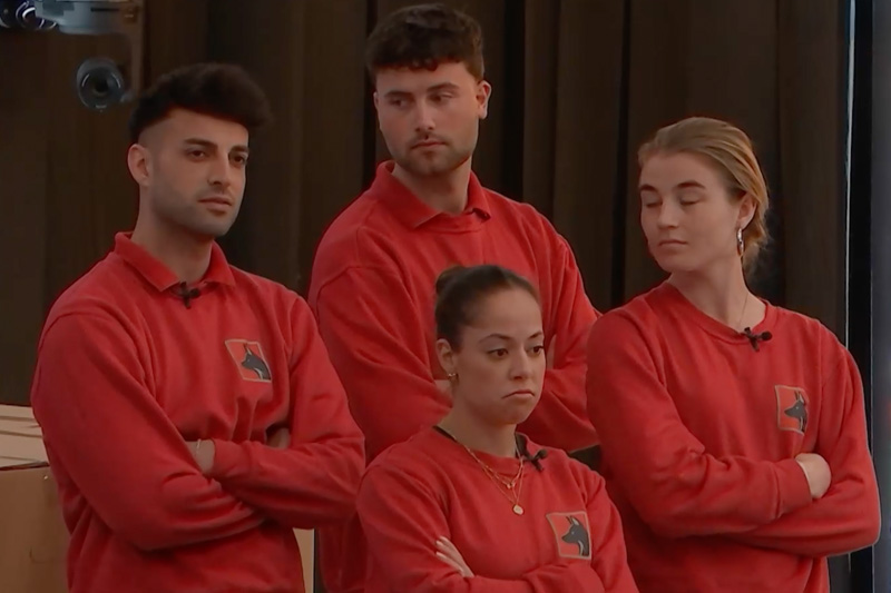 Vossen De Bondgenoten